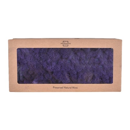 Lichen stabilisé violet – mousse stabilisée en gros – box Lavande & velours