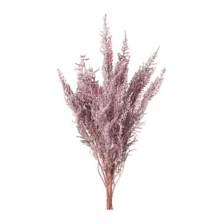 Stoebe stabilisé rose poudré – grossiste en végétal stabilisé – box Douceur nude