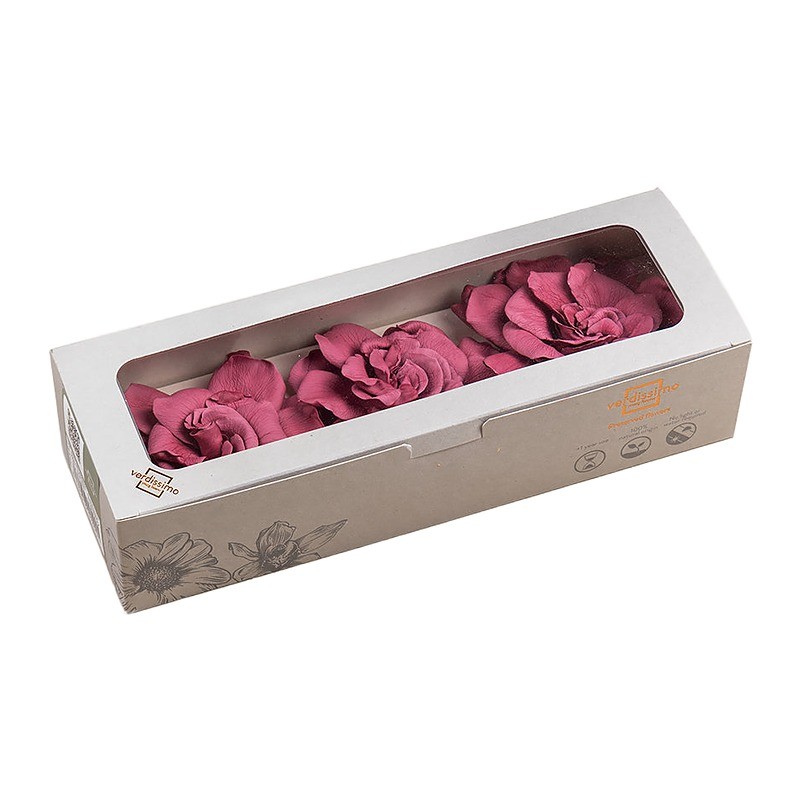 Gardénia stabilisé canneberge – acheter des fleurs stabilisées en gros – box Bordeaux d'automne