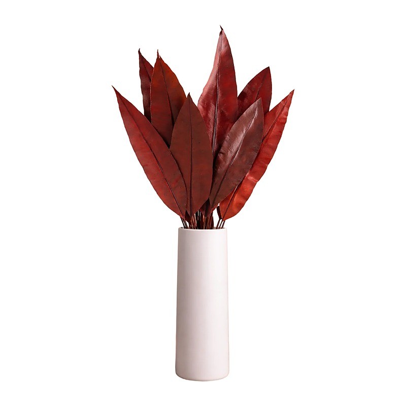 Feuille tropicale stabilisée rouge – grossiste en végétal stabilisé – box Bordeaux d'automne