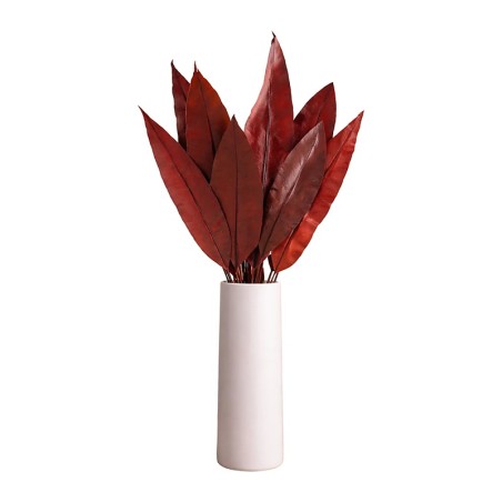 Feuille tropicale stabilisée rouge – grossiste en végétal stabilisé – box Bordeaux d'automne