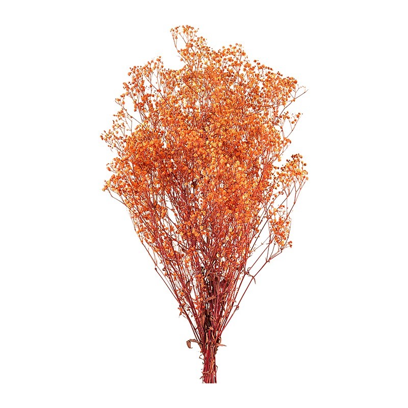 Gypsophile stabilisée orange – acheter des fleurs stabilisées en gros – box Rouille & pêche
