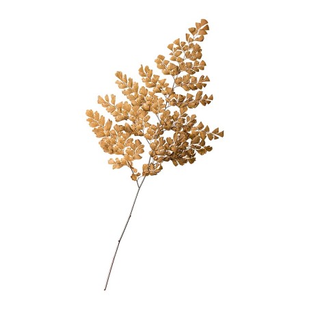 Fougère Lutti stabilisée orange – grossiste en végétal stabilisé – box Rouille & pêche