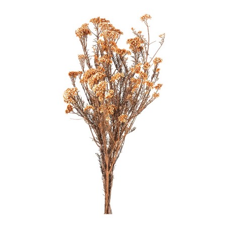 Diosmi (fleur de riz) stabilisée pêche – végétal stabilisé en gros – box Rouille & pêche