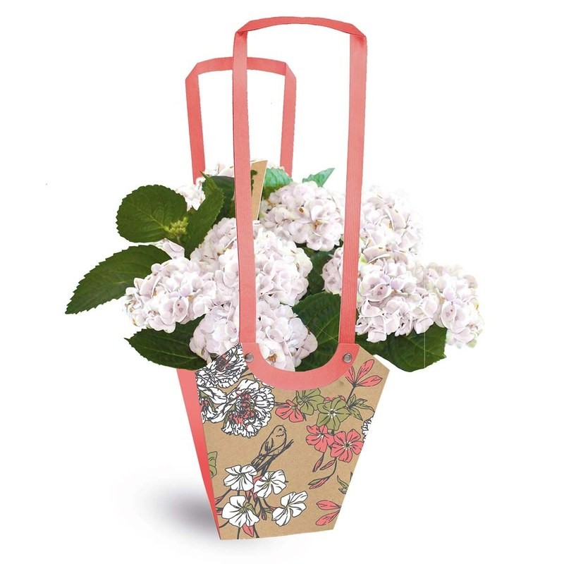 Sac carton Aqua Birdy rose sur kraft pour plante fleurie, vente en gros aux fleuristes