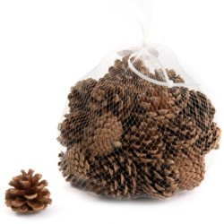 Pommes de pin naturelles en sac de 500 g Ø5-6 5 H.4 5-5 cm - grossiste en pommes de pin pour fleuristes
