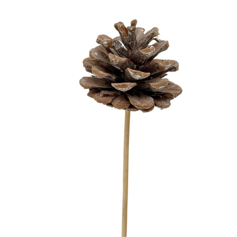 Pique pomme de pin blanche Ø5-6 5 H.4 5-5 cm - lot de 20 - grossiste en piques pour fleuristes