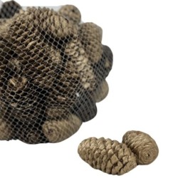 Pommes de pin dorées en sac de 500 g Ø3 5-4 H.6 5-7 5 cm - grossiste en pommes de pin pour fleuristes