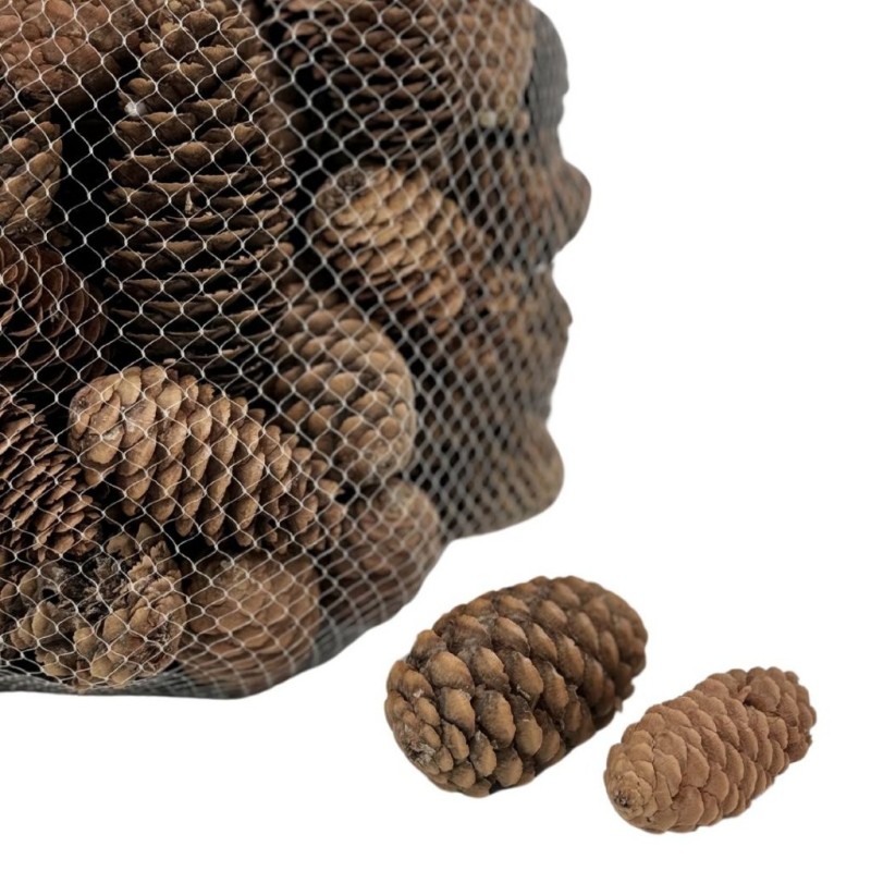 Pommes de pin naturelles en sac de 500 g Ø3 5-4 H.6 5-7 5 cm - grossiste en pommes de pin pour fleuristes