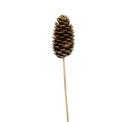 Pique pomme de pin dorée Ø3 5-4 H.6 5-7 5 cm - lot de 20 - grossiste en piques pour fleuristes