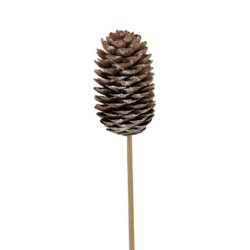 Pique pomme de pin blanche Ø3 5-4 H.6 5-7 5 cm - lot de 20 - grossiste en piques pour fleuristes