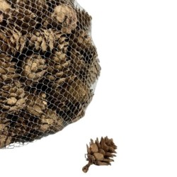 Pommes de pin dorées petit modèle en sac de 500 g Ø3-4 cm - grossiste en pommes de pin pour fleuristes