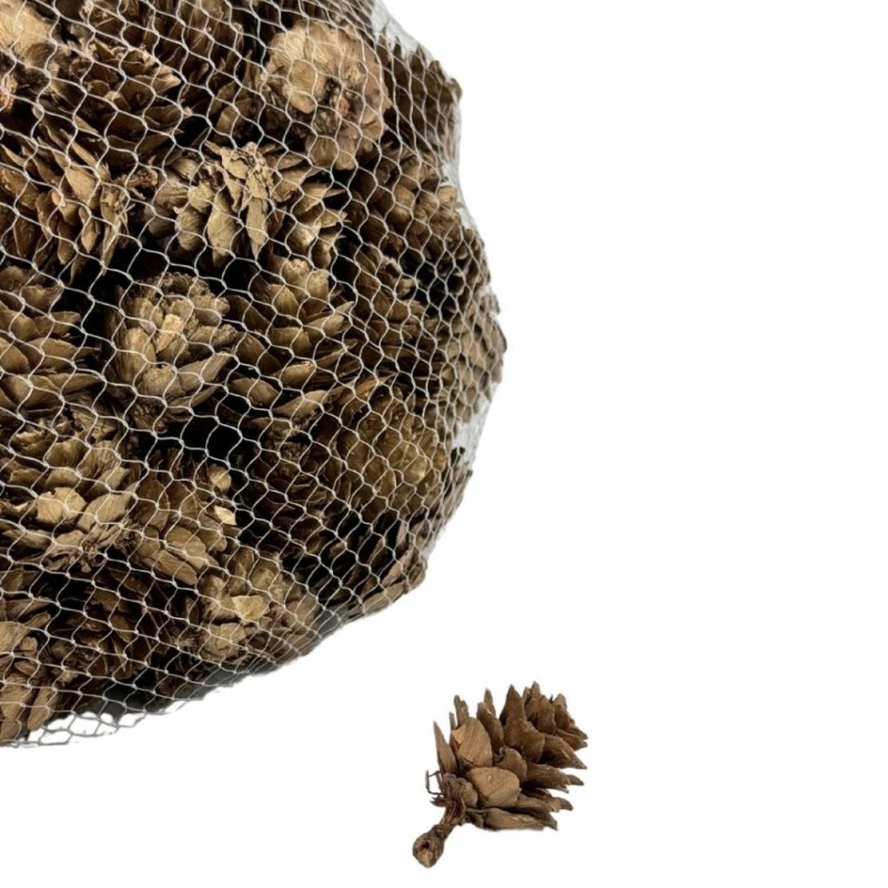 Pommes de pin dorées petit modèle en sac de 500 g Ø3-4 cm - grossiste en pommes de pin pour fleuristes