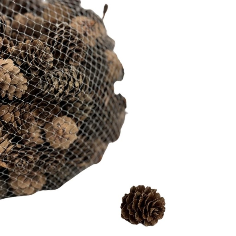 Pommes de pin naturelles petit modèle en sac de 500 g Ø3-4 cm - grossiste en pommes de pin pour fleuristes