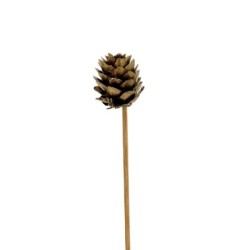 Pique pomme de pin dorée Ø3-4 cm - lot de 30 - grossiste en piques pour fleuristes