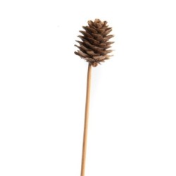 Pique pomme de pin naturelle Ø3-4 cm - lot de 30 - grossiste en piques pour fleuristes
