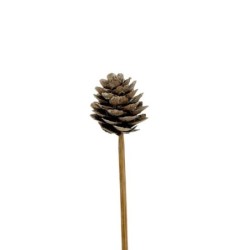 Pique pomme de pin blanche Ø3-4 cm - lot de 30 - grossiste en piques pour fleuristes