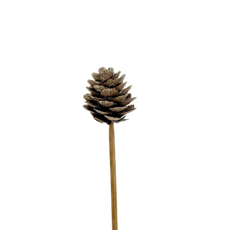 Pique pomme de pin blanche Ø3-4 cm - lot de 30 - grossiste en piques pour fleuristes