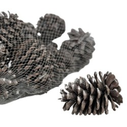 Pommes de pin blanches en sac de 300 g Ø8-9 H.12-13 5 cm - grossiste en pommes de pin pour fleuristes
