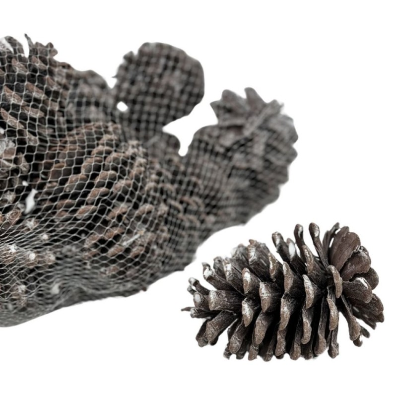 Pommes de pin blanches en sac de 300 g Ø8-9 H.12-13 5 cm - grossiste en pommes de pin pour fleuristes
