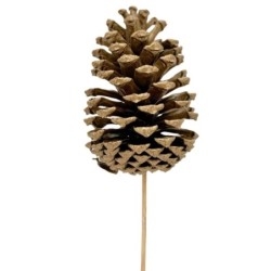 Pique pomme de pin dorée Ø8-9 H.12-13 5 cm - lot de 12 - grossiste en piques pour fleuristes