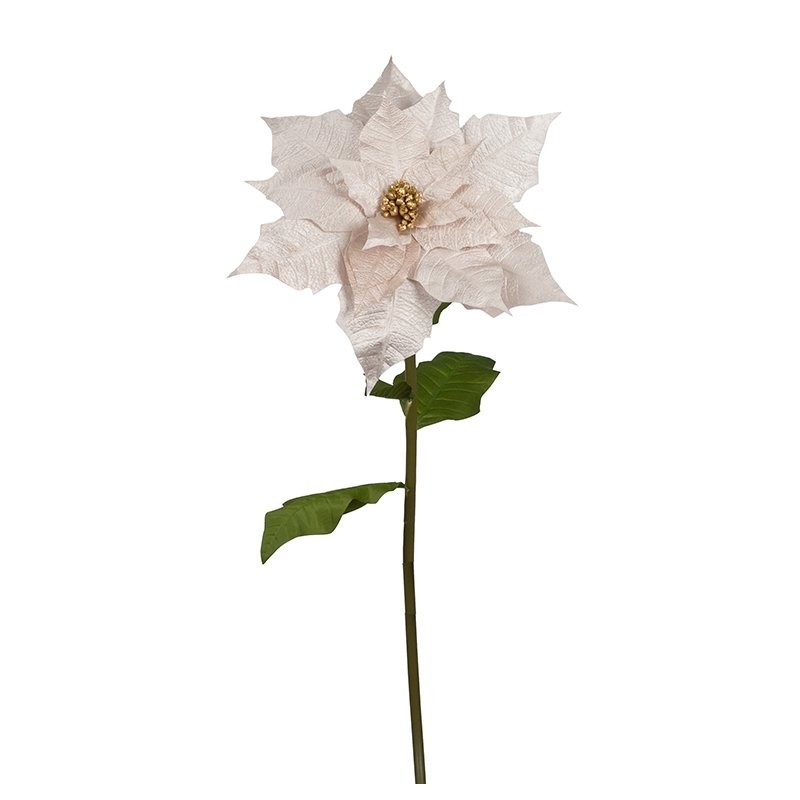 Étoile de Noël géante champagne à pistil doré Ø55 H.135 cm - grossiste en décoration de Noël
