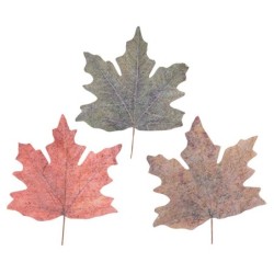 Feuille d'érable géante en non-tissé 80 x 70 cm 3 couleurs assorties - grossiste en décoration de vitrine