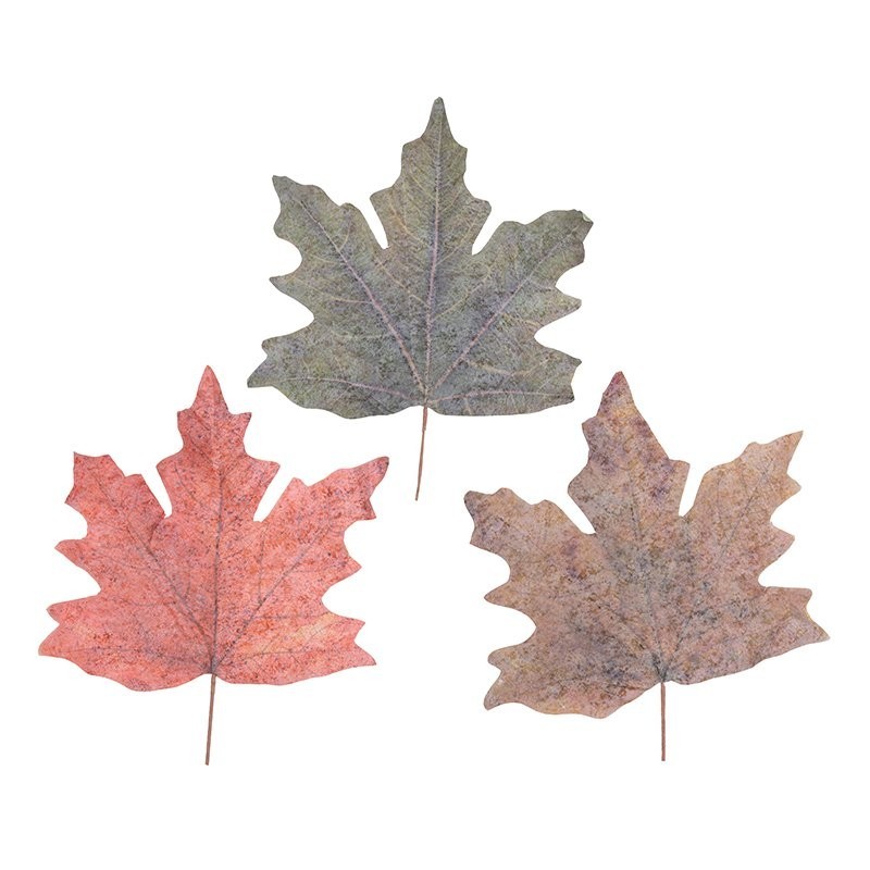 Feuille d'érable géante en non-tissé 80 x 70 cm 3 couleurs assorties - grossiste en décoration de vitrine