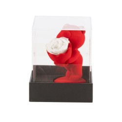 Ourson rouge avec rose en boîte plexiglas 7 x 10 H.13 cm - vente en gros pour fleuristes