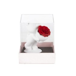 Ourson blanc avec rose en boîte plexiglas 7 x 10 H.13 cm - grossiste en décoration pour fleuristes