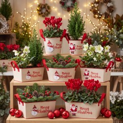 Cache-pots de Noël en métal Père Noël et bonhomme de neige garnis en vitrine de fleuriste – grossiste en déco de Noël