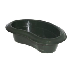 Coupe haricot vert sapin L 31 cm, vente en gros aux fleuristes