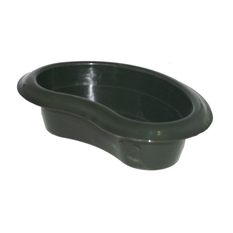 Coupe haricot vert sapin L 31 cm, vente en gros aux fleuristes