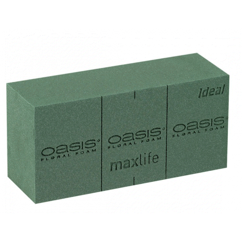 Mousse Florale Tous Usages Oasis Idéal - Carton de 20 Briques