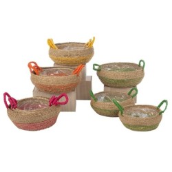 Cache-pot en herbe à anses colorées  lot de 3  4 couleurs - grossiste en vannerie pour fleuristes