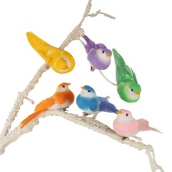 Oiseau sur clip en plume pastel 11 5 cm lot de 12  grossiste en oiseaux décoratifs pour fleuristes
