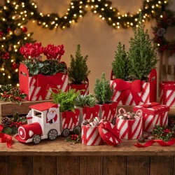 Bacs, boîtes et trains en feutre rayé rouge garnis de plantes et chocolats – grossiste en cache-pots de Noël