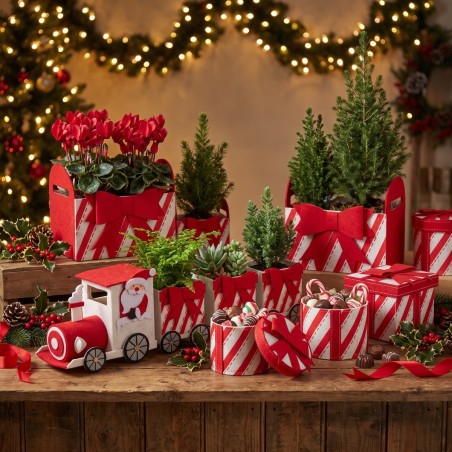 Bacs, boîtes et trains en feutre rayé rouge garnis de plantes et chocolats – grossiste en cache-pots de Noël