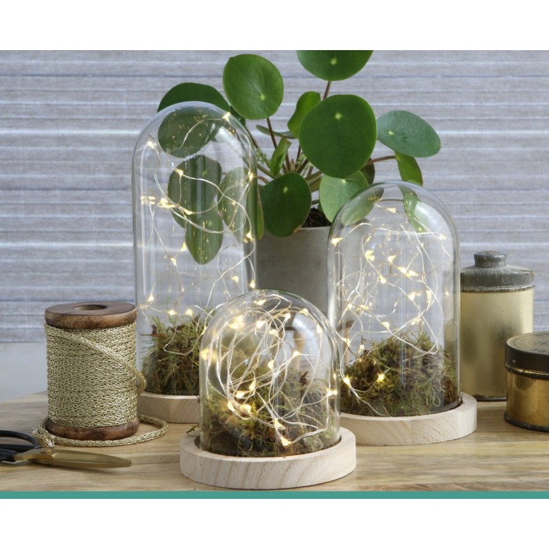 Cloche en verre sur socle bois Ø10 H.10 cm – verrerie décorative pour fleuristes et décorateurs à prix grossiste