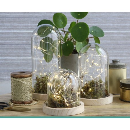 Cloche en verre sur socle bois Ø10 H.10 cm – verrerie décorative pour fleuristes et décorateurs à prix grossiste