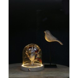 Cloche en verre LED sur socle bois Ø10 H.10,5 cm – vente en gros verrerie pour fleuristes