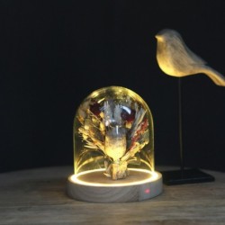 Cloche en verre LED sur socle bois Ø12 H.13,5 cm – verrerie en gros