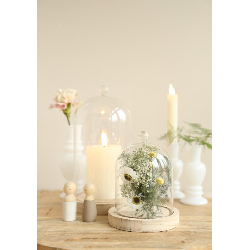 Cloche en verre bouton verre sur socle bois Ø14 H.24 cm – vente en gros verrerie pour fleuristes