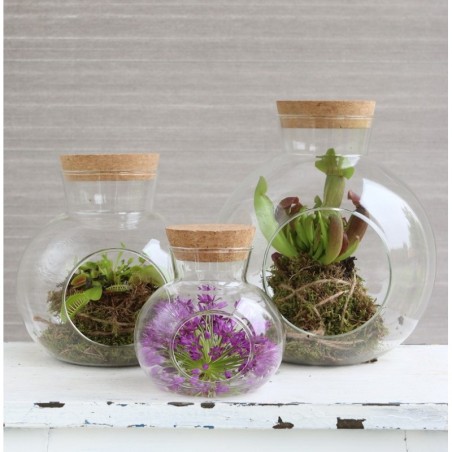 Boule en verre avec bouchon Ø10 H.10 cm – verrerie pour décoration de mariage, vente en gros aux fleuristes