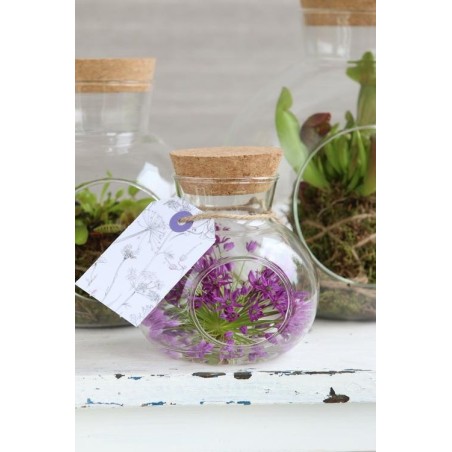 Boule en verre avec bouchon Ø10 H.10 cm – vente en gros verrerie pour fleuristes