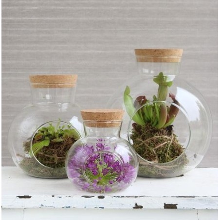 Boule en verre avec bouchon Ø14 H.15 cm – vente en gros verrerie pour fleuristes