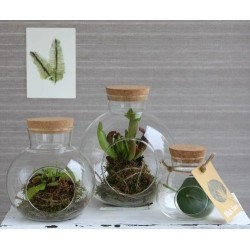 Boule en verre avec bouchon Ø14 H.15 cm – verrerie déco en gros