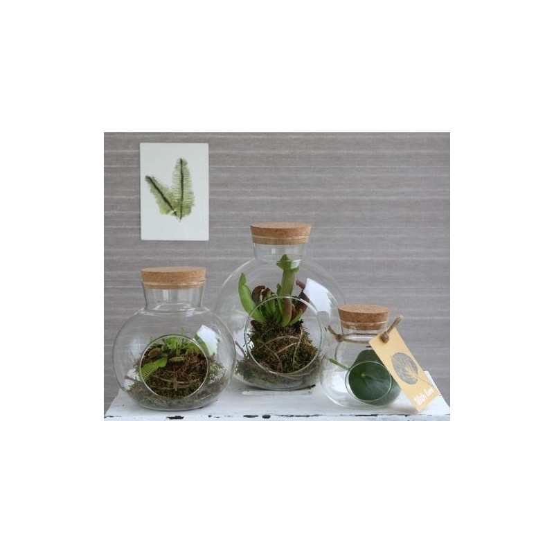 Boule en verre avec bouchon Ø14 H.15 cm – verrerie déco en gros
