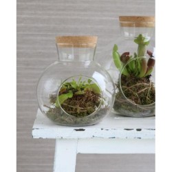 Boule en verre avec bouchon Ø14 H.15 cm – verrerie décorative pour fleuristes et décorateurs à prix grossiste