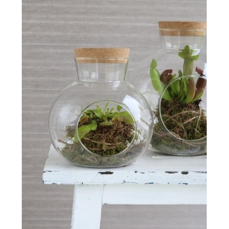 Boule en verre avec bouchon Ø14 H.15 cm – verrerie décorative pour fleuristes et décorateurs à prix grossiste